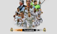 国际帆板裁判培训营：公正与安全成为核心议题，帆板国际品牌有哪些